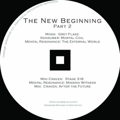 A3 Mental Resonace - The External World