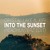 Artwork for Into The Sunset (Headhunterz Edit)