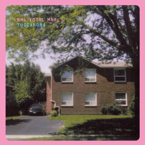 NML VGTBL MNRL - RUCKKEHRUNRUHE (ACID CHILLIN)