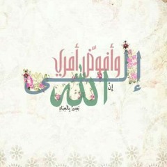 من اجمل الاصوات في القرآن