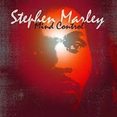 Stephen Marley Inna Di Red-Saltybeats Remix/Beat
