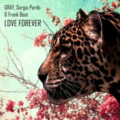 GRAY, Sergio Pardo & Frank Beat - Love Forever (Original Mix) - #39 NUDISCO chart Beatport