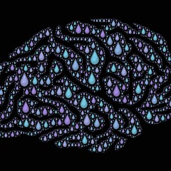 Anxiety at Univesity