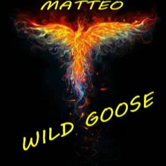 Wild Goose