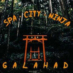 Spa City Ninja
