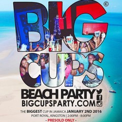 BIG CUPS (COPPERSHOT: CHROMATIC: DJ CRUISE)