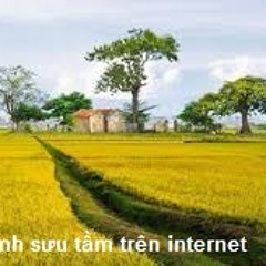 TIẾNG DẾ KÊU NHƯ THAI NHI KÊU, KHÓC. Nhạc Phạm Vĩnh Sơn. Thơ Cao Xuân Lý. Ca sĩ Lê Anh