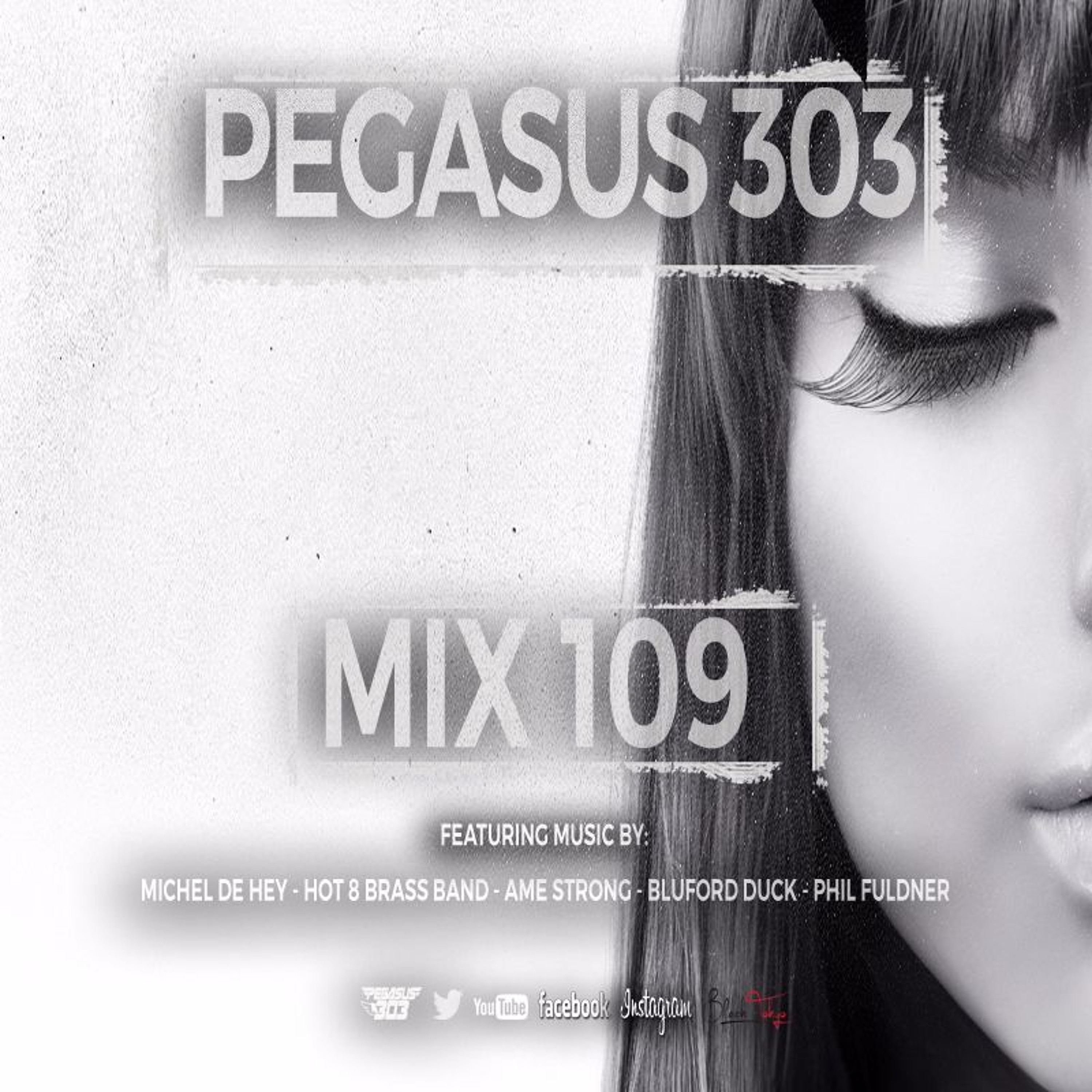 Pegasus 303 (mrclean)