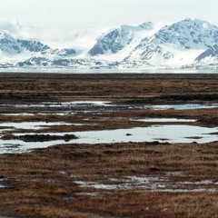 tundra