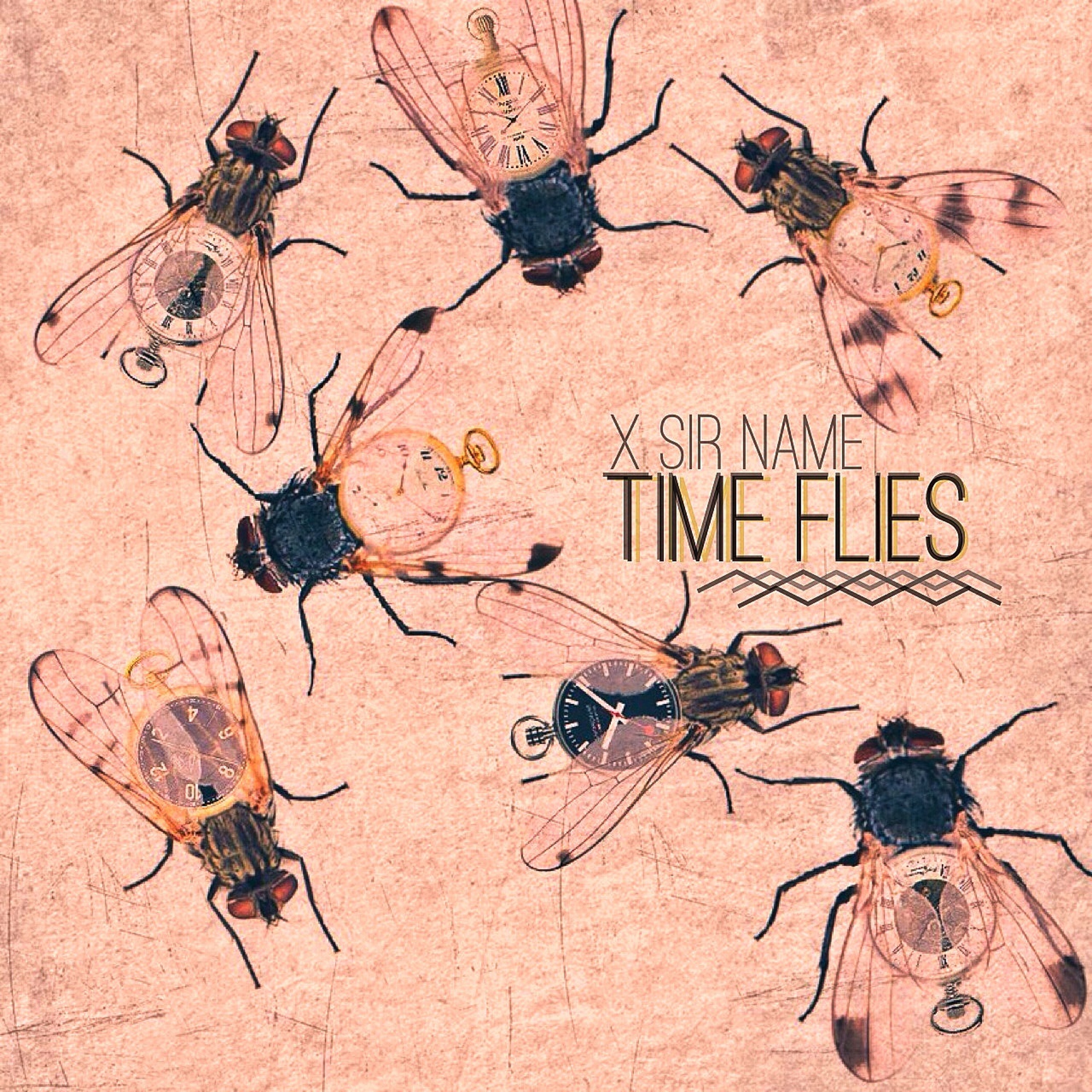 time flies episode artwork