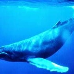 Catch That Beat By Backofmyfeet