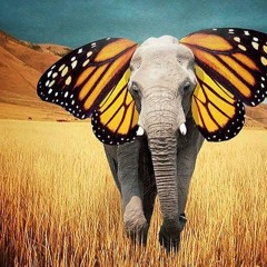 ßαššηες†αr - ïη†⊕ †hε šuη, ßu††εrƒιψ [mïmï pαgε] (ι⊕⊕ßψ mαšhup)