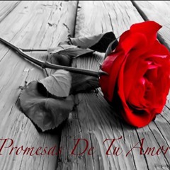Promesas De Tu Amor
