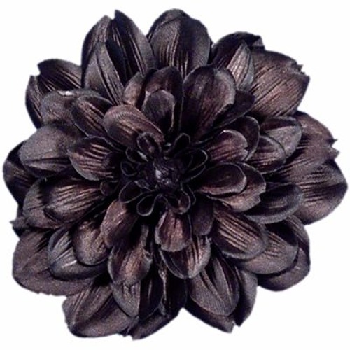 dahlia