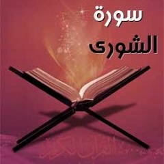 تفسير سورة الشورى--الجزء ٢