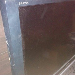 Sony Bravia LCD TV Starting Up