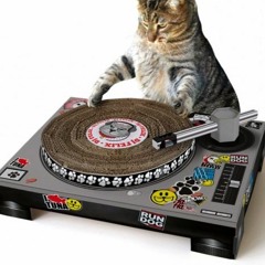 House MixXxes