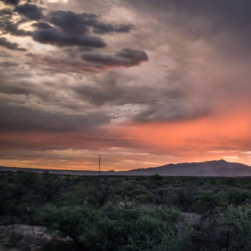 The Flashbulb - The Storm In March