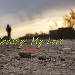 Auton & Fernando Lujan-Alely (Good Bye My Love)(No Master)