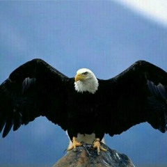 De Valor Em Valor - Grupo Lirio dos Vales.mp3