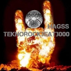 TeknoRockBeat3000 - 2016