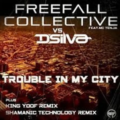 Freefall Collective Feat Tenja- Trouble In My City (King Yoof Remix) Sample