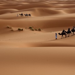 معلقة لبيد بن ربيعة بصوت عبد المجيد مجذوب