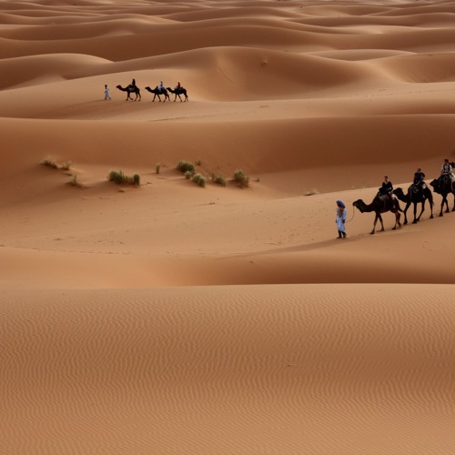 شعر