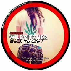 [KAR]#001 WILDPITCHER - Return To Life (prev.)
