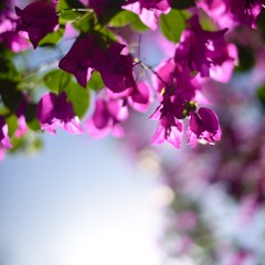 Chagall — Sappho Song (Christopher Giffard's Delinquent Robot DnB Mix)