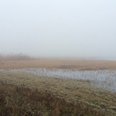 Field Recording