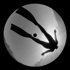 B2 - PerceiverReceiver "AlternativeTransmission"