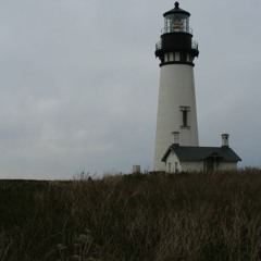 "The Core Of Purity"