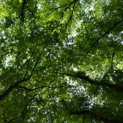 Aaveita Täynnä Osa I