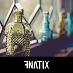 Marcel Woods & TNT - Bottle Flash (FNATIX Mashup)