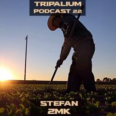Tripalium Podcast 22 - Stefan ZMK