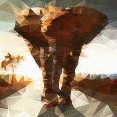Walking With Elephants