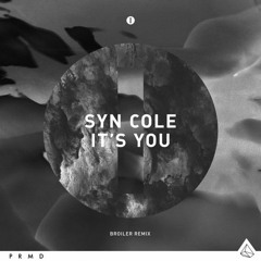 Syn Cole - It's You (Broiler Remix)