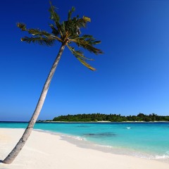 $toney Feat. Bico Xander - High For Days