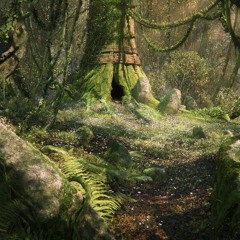 Mirkwood