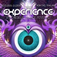 R'Deem @ The Experience Festival 2015-2016