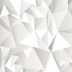 White Wolf - Brooklyn Taylor