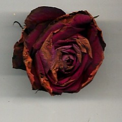 W.T.F - (Produced by Tebza Fresh)