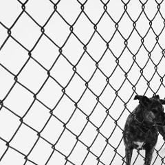 MAH KEE OH - Loss Aversion