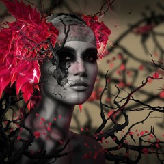 Neu im Stream Oktober 2015