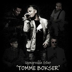 Gjengrodde Stier - Tomme Bokser