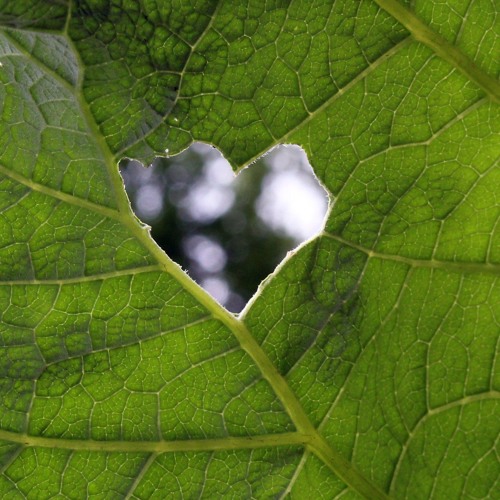 The Ultimate Experience