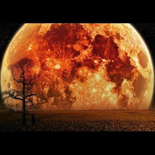 Bacter & Saga Musix - Lunar Therapy