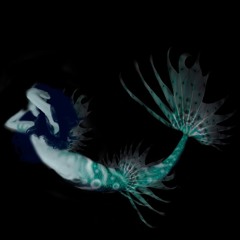 Duoteque - Moma (FERDBURD Remix)