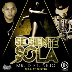 Mr.D ft NEJO Se Siente Sola prod;Electrik on the beat